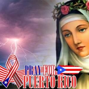 Meet your Posher, Iris